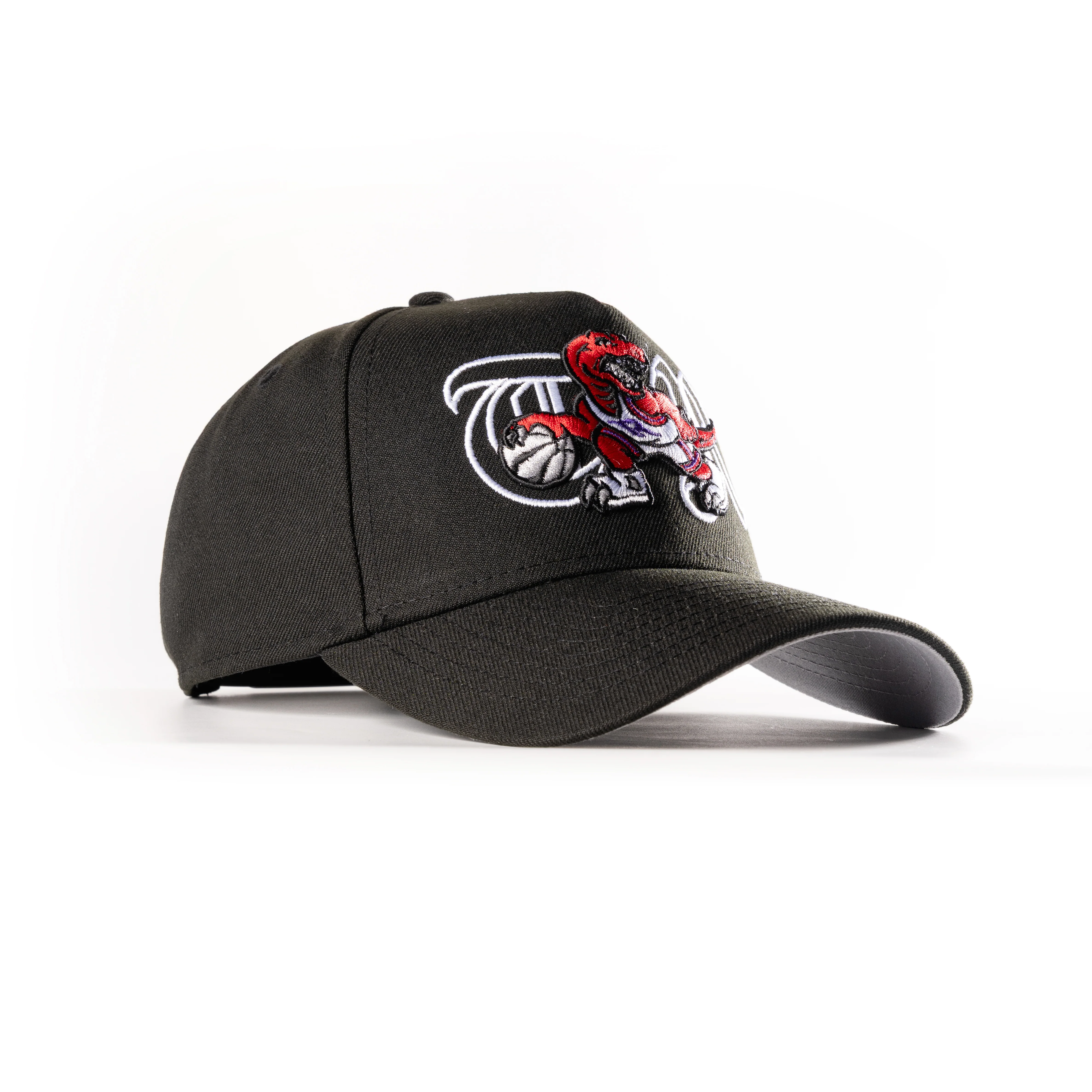 TORONTO RAPTORS TR 2.0 9FORTY A-FRAME SNAPBACK HAT