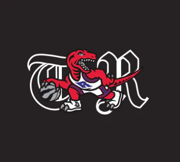 TORONTO RAPTORS TR 2.0 9FORTY A-FRAME SNAPBACK HAT - Image 2