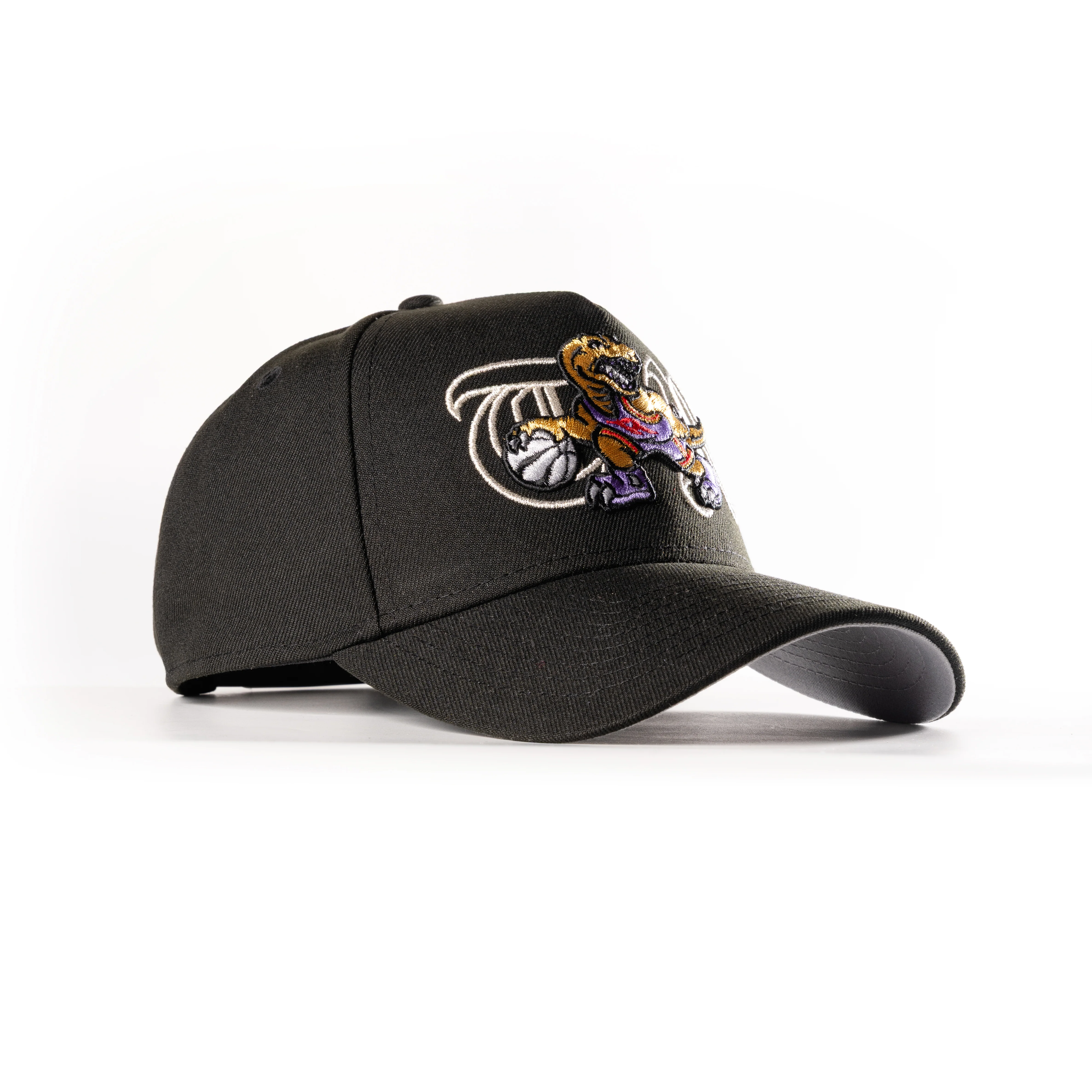TORONTO RAPTORS TR 2.0 GOLD 9FORTY A-FRAME SNAPBACK HAT