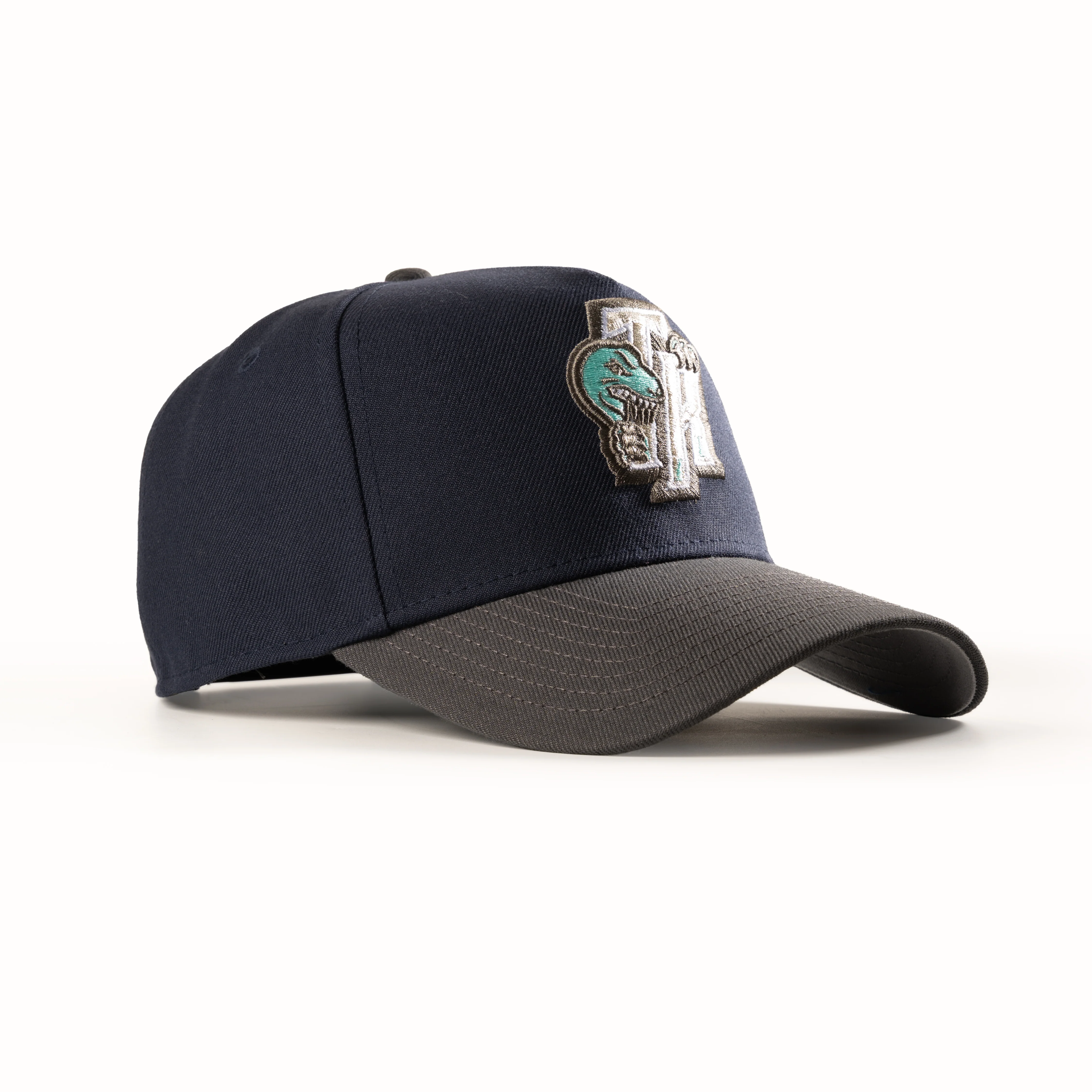 TORONTO RAPTORS TR 9FORTY A-FRAME SNAPBACK HAT